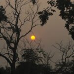 Profile picture of pratiksha mishra