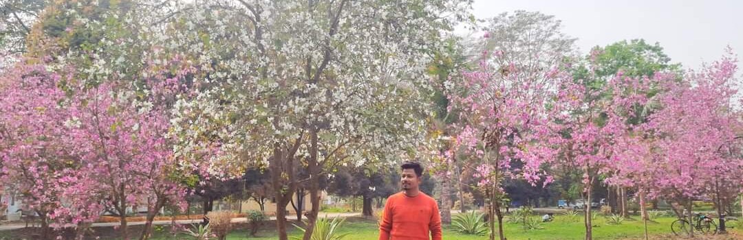 Cover Photo